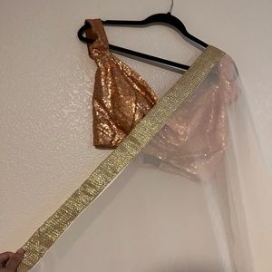 Indian Bollywood Sari